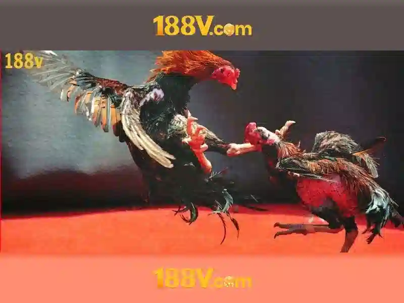 An toàn và tiêu chuẩn liên quan đến 188V