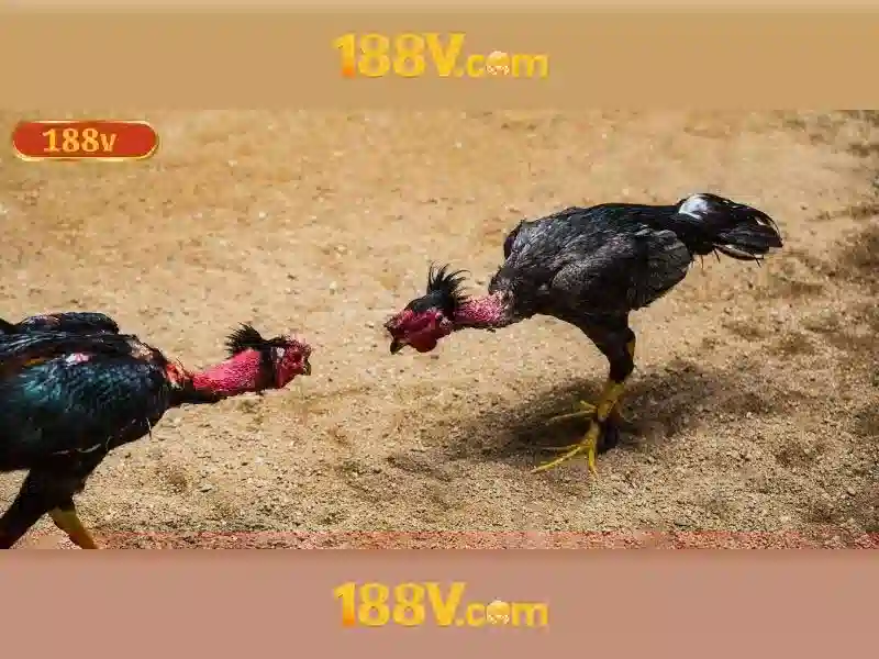 188V: Khái niệm, nguồn gốc và an toàn