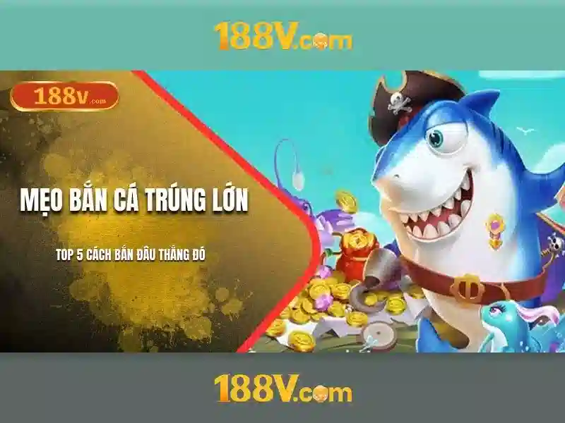 Kết luận