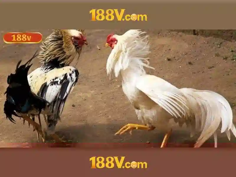 Khởi đầu của 188v