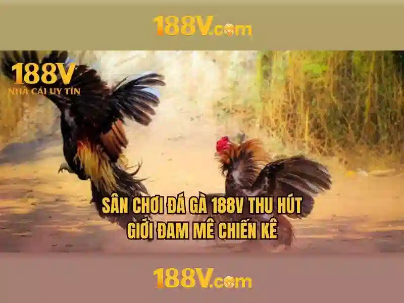 188v: một khái niệm cho tương lai số và điện