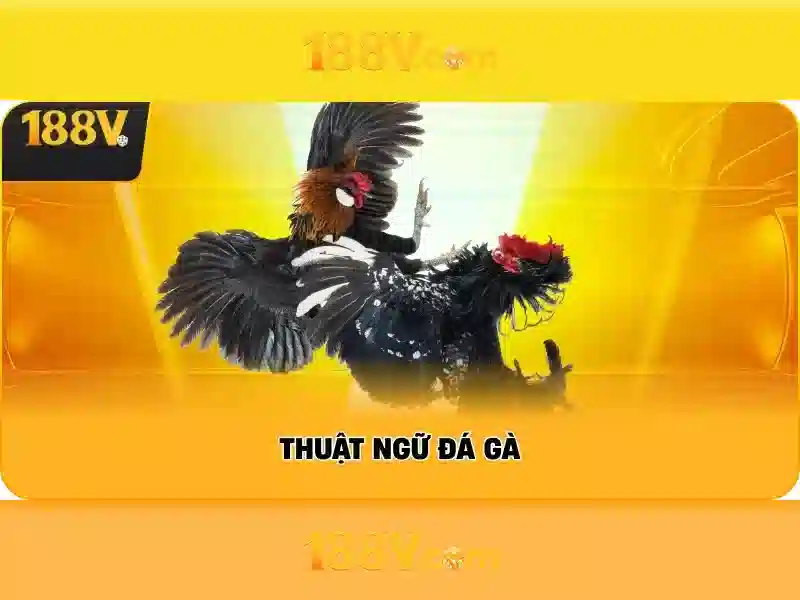 Cấu trúc và đặc điểm