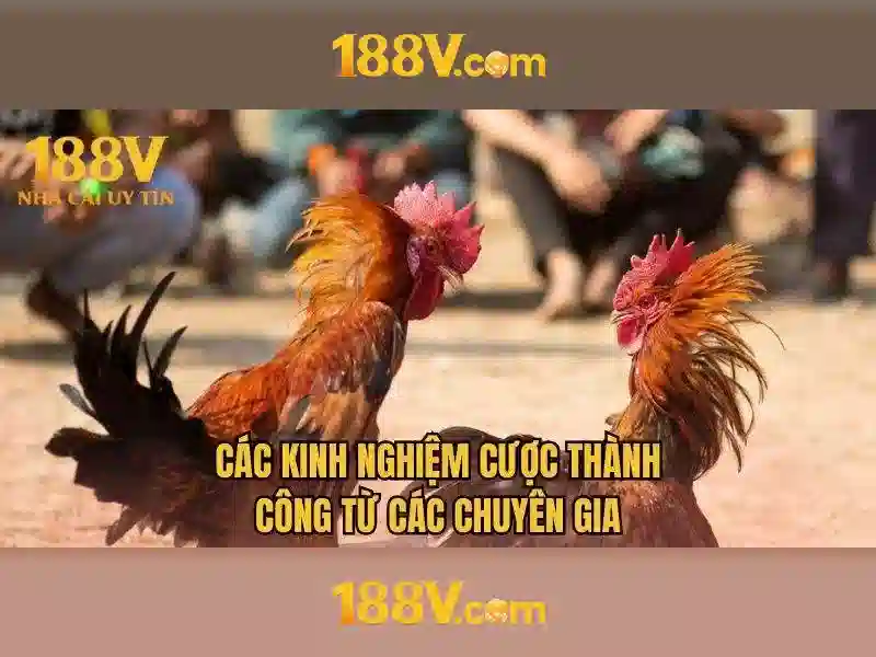 Khung lý thuyết và hình ảnh 188v
