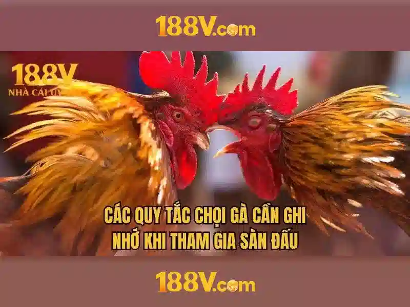 188v - một khái niệm đa chiều