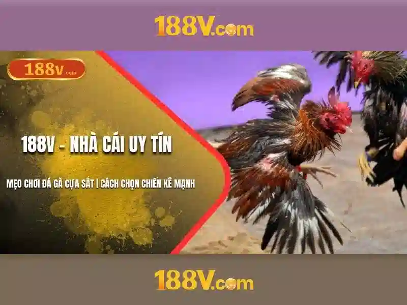 188v: khái niệm và ứng dụng trong thế giới số