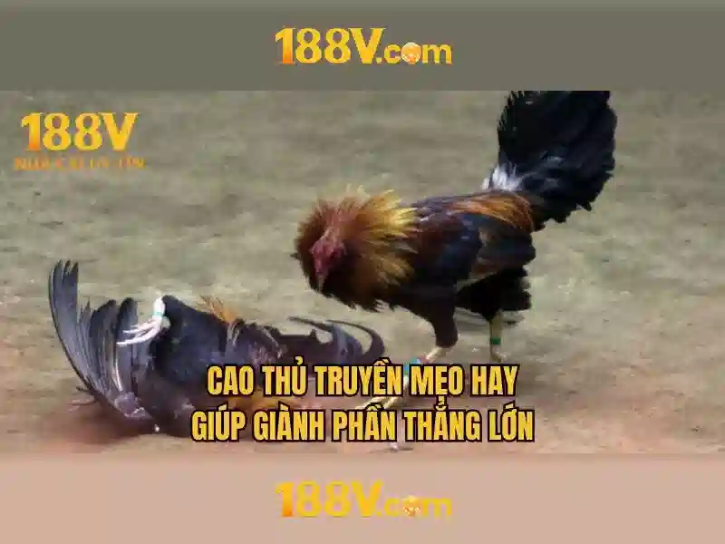 188v: một khái niệm và câu chuyện