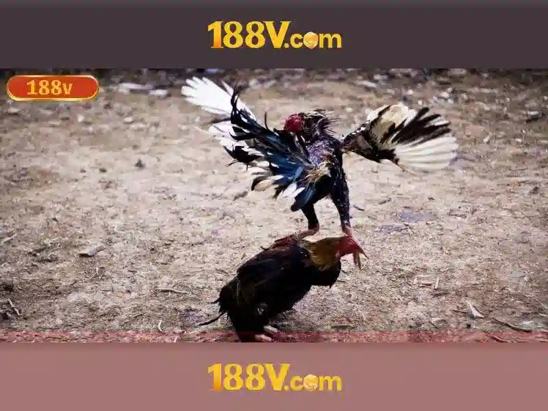 Nguồn gốc và cảm hứng