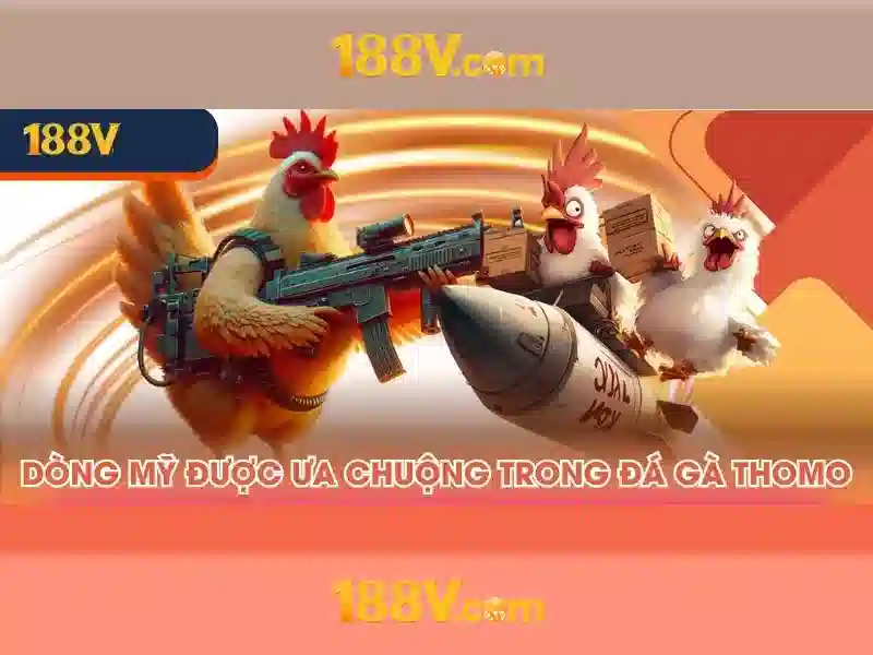 Khởi đầu của 188v