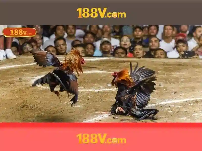 188v: nghệ thuật số và ranh giới thực ảo