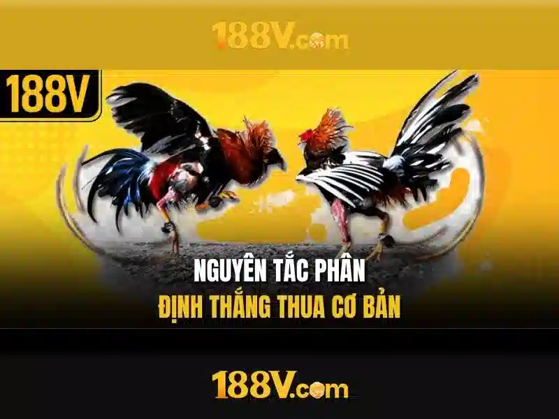 188v: Sự kết hợp giữa công nghệ và nghệ thuật