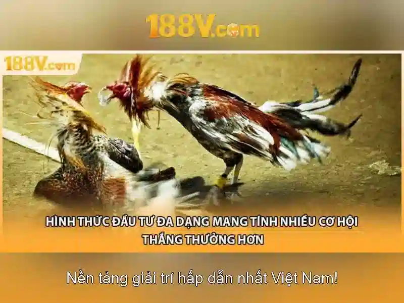 Giới thiệu về 188v