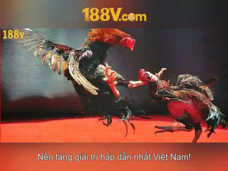 Khởi đầu và ý nghĩa của 188v