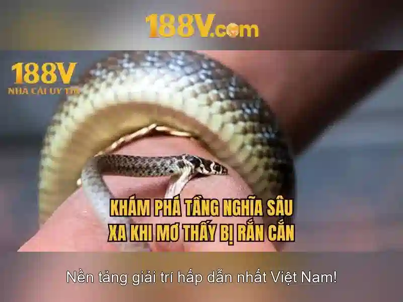 Khám phá 188V: Hiểu biết cơ bản về điện áp 188V