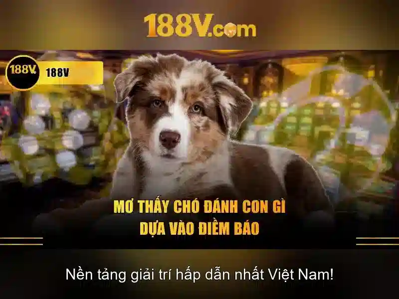 Khám phá 188v: khái niệm và ứng dụng