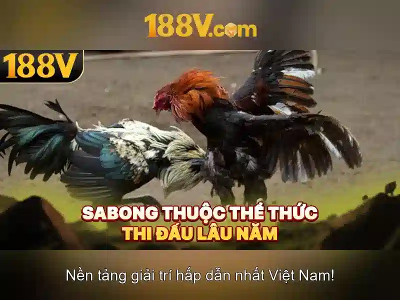 Khám phá 188v: khái niệm và cảm hứng