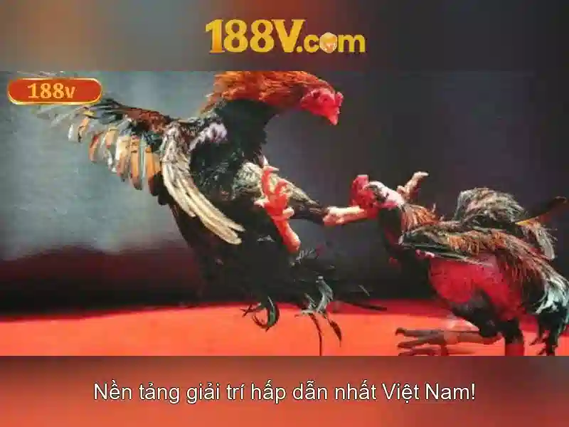 188v: Sự kết hợp giữa công nghệ và nghệ thuật