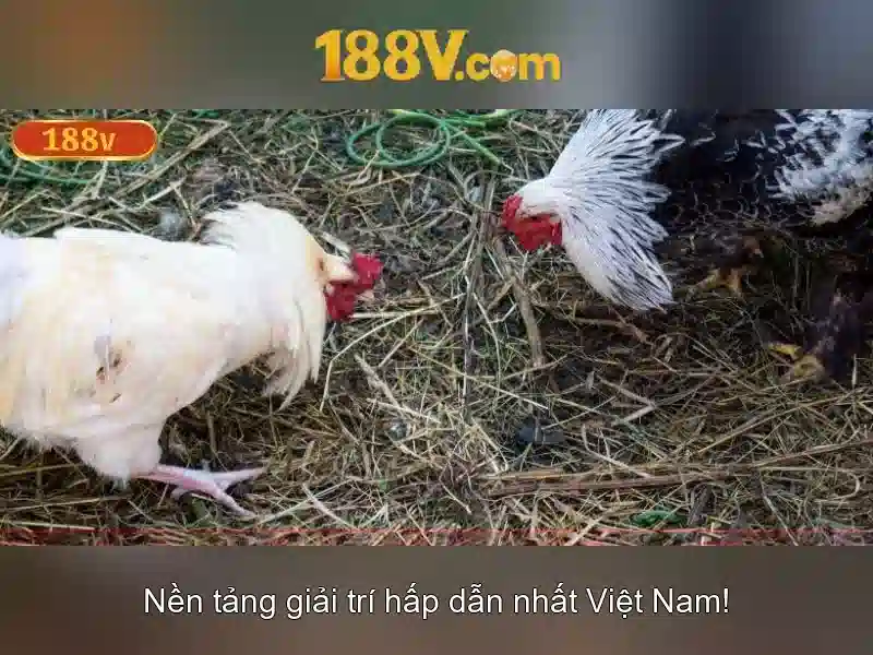 Nguồn gốc và lịch sử