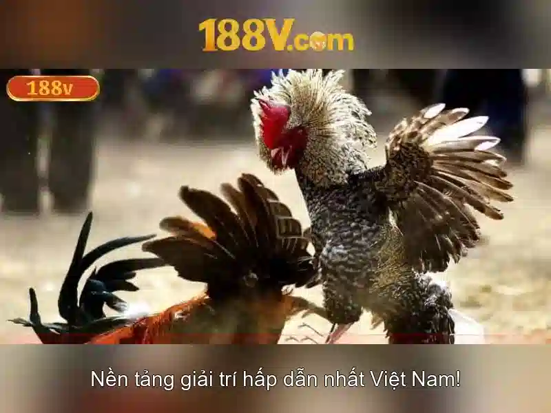 Khám phá 188V: Điện áp 188V và những điều cần biết
