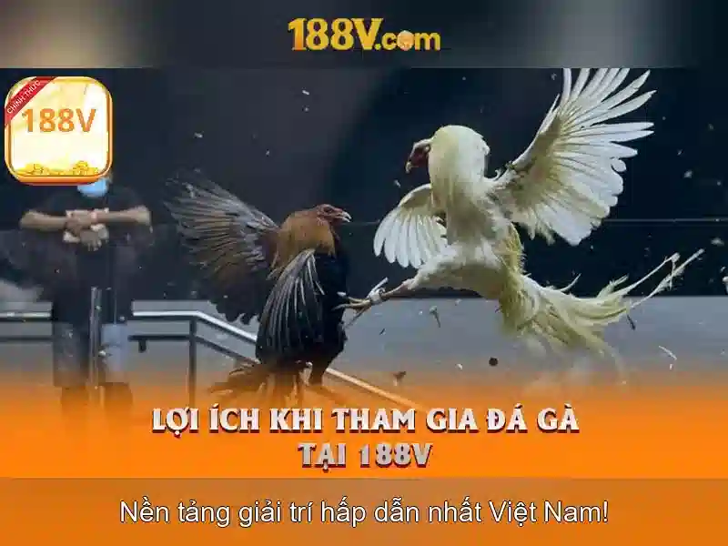 188v và hành trình khám phá thế giới số