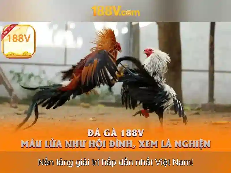 Hỗ_trợ_khách_hàng_188v