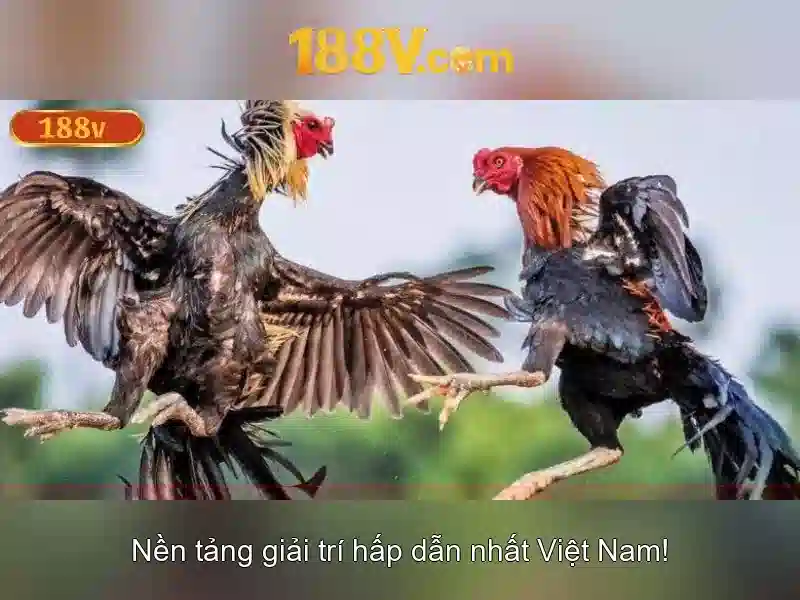 Tương lai của 188v
