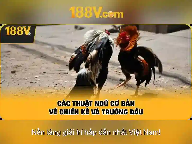 188v: khái niệm và ứng dụng trong thời đại số