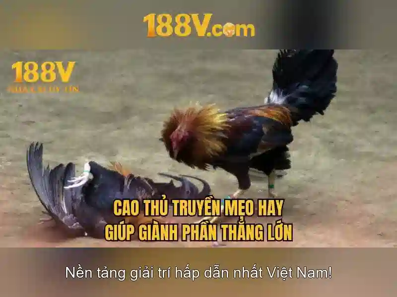 Những ứng dụng của 188v