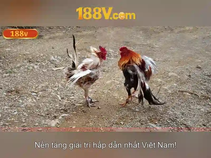 188v: Khám phá một thế hệ công nghệ mới
