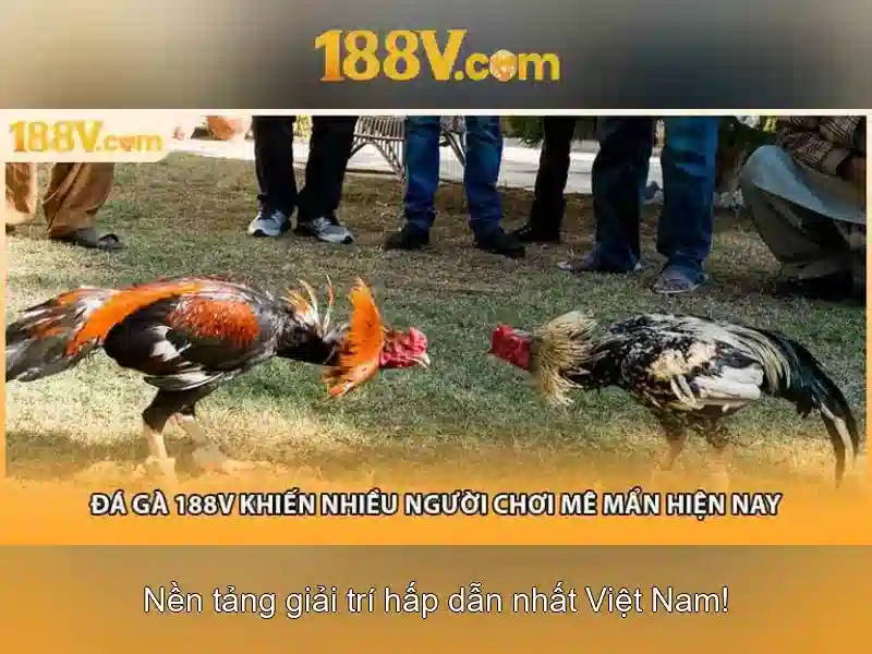 Khám phá 188v: một khái niệm và hành trình