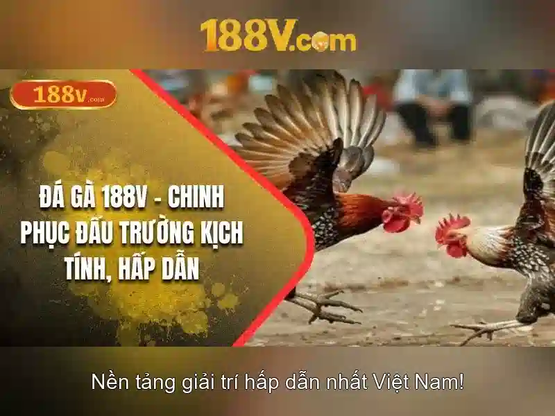 Khởi nguồn của 188v