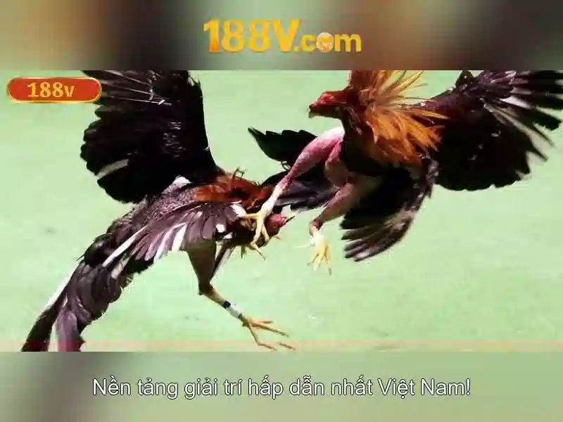 Khám phá 188V: Hiệu điện áp và ứng dụng