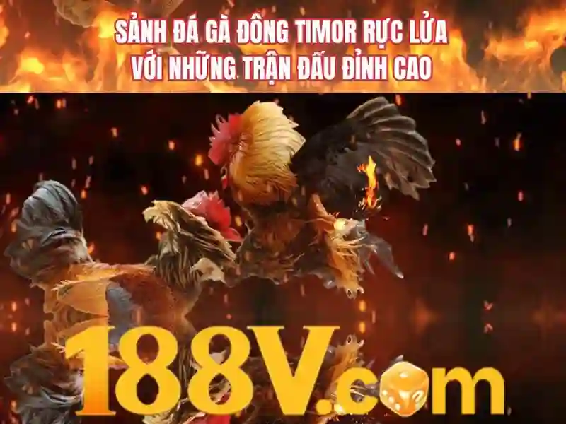 Ảnh hưởng và ứng dụng